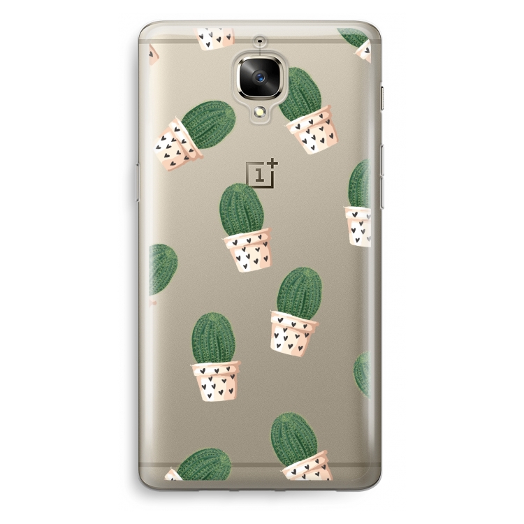 Cactus rose