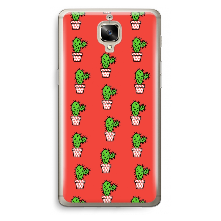 Mini cactus