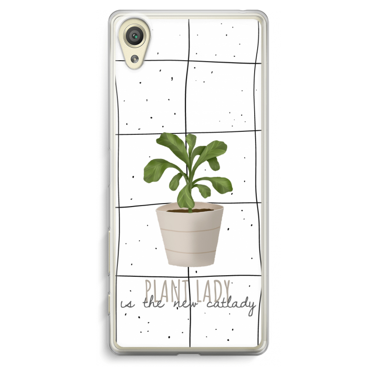 Houseplant on windowpane