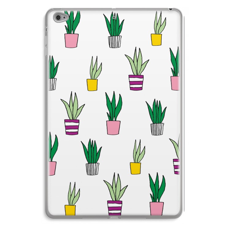Sanseveria