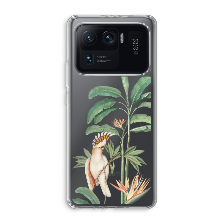 Tropical Parrot