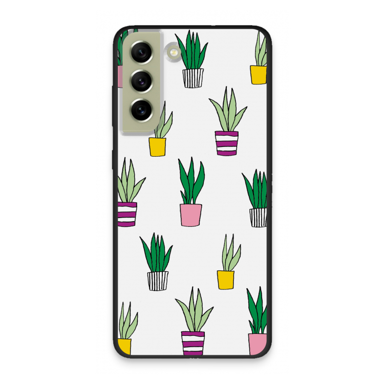 Sanseveria