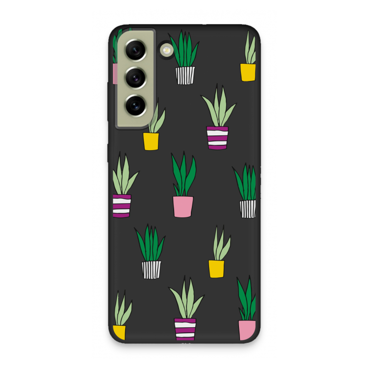 Sanseveria