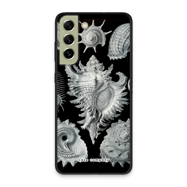 Haeckel Prosobranchia