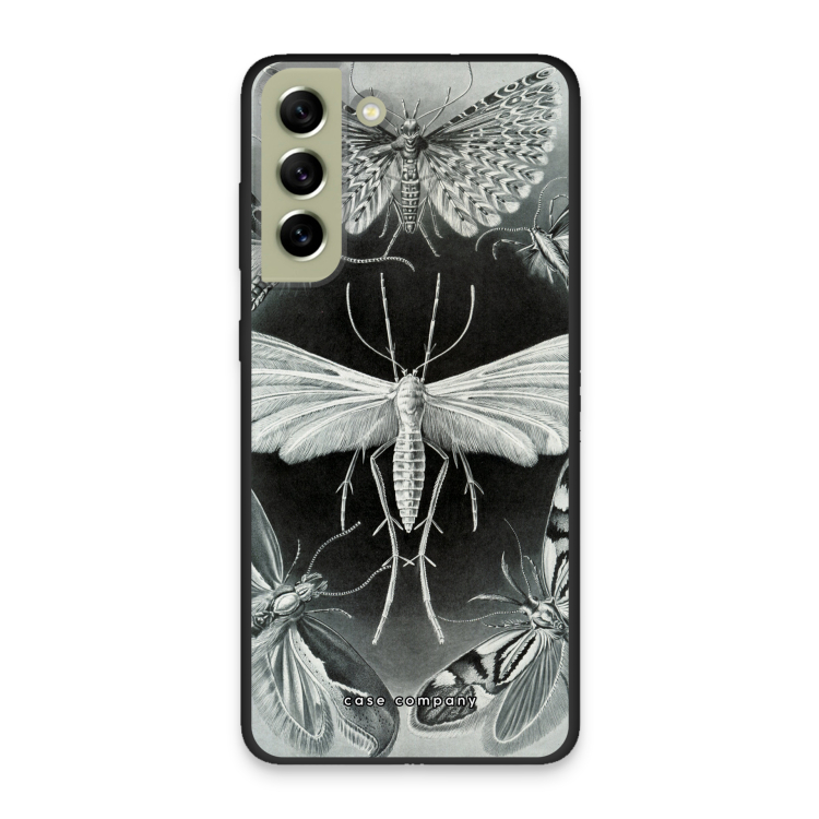 Haeckel Tineida