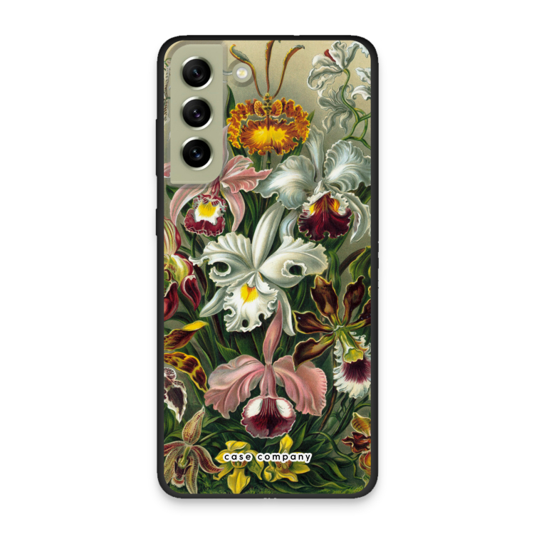 Haeckel Orchidae