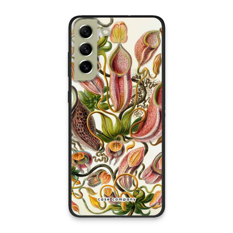 Haeckel Nepenthaceae