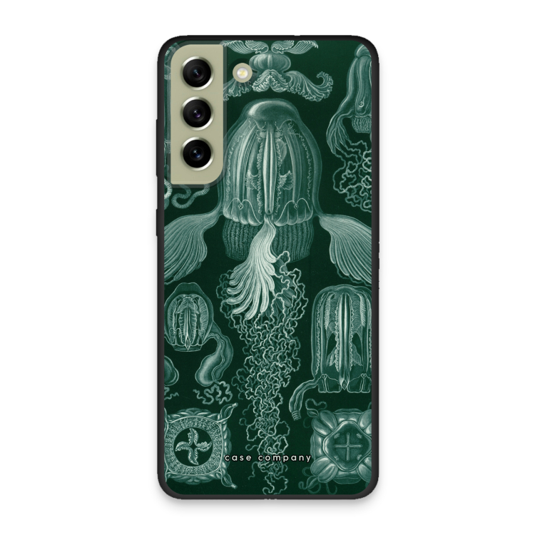 Haeckel Cubomedusae