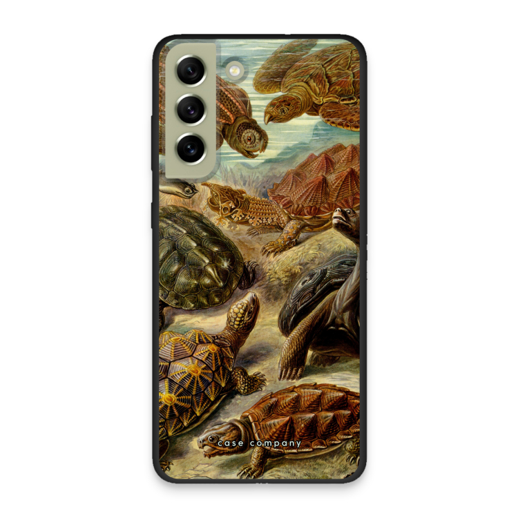 Haeckel Chelonia