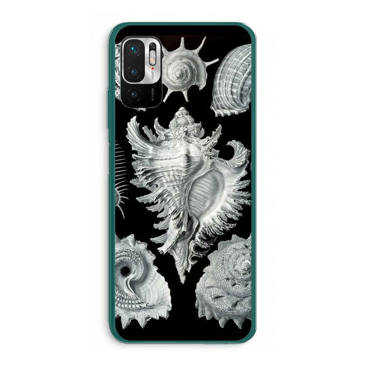 Haeckel Prosobranchia