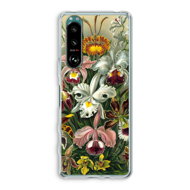 Haeckel Orchidae