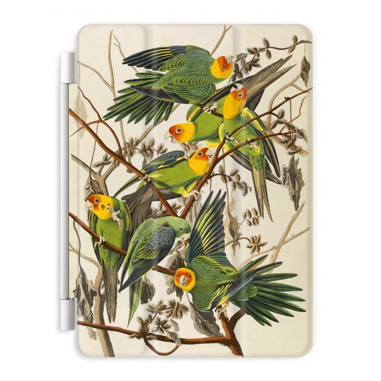 Carolina Parrot