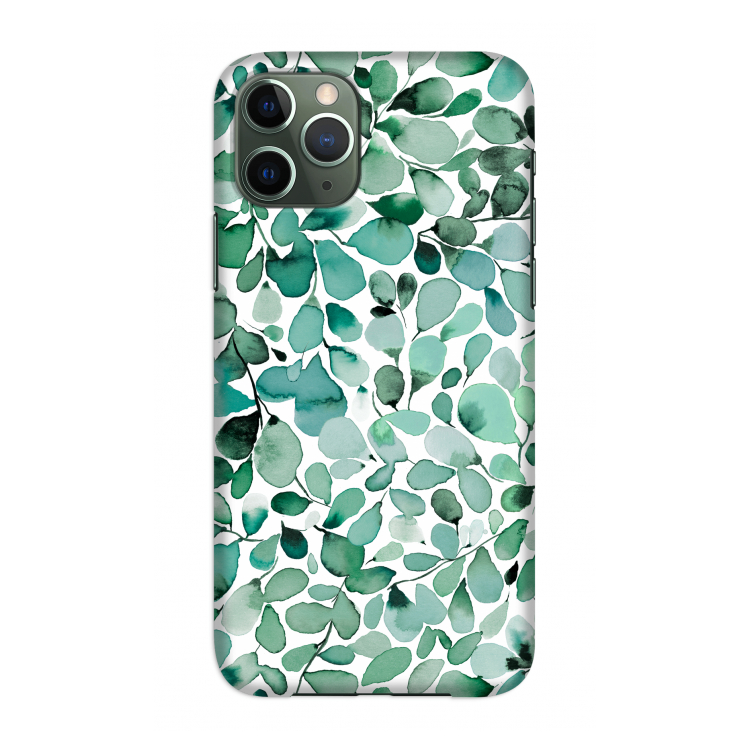 Leafy Eucalyptus