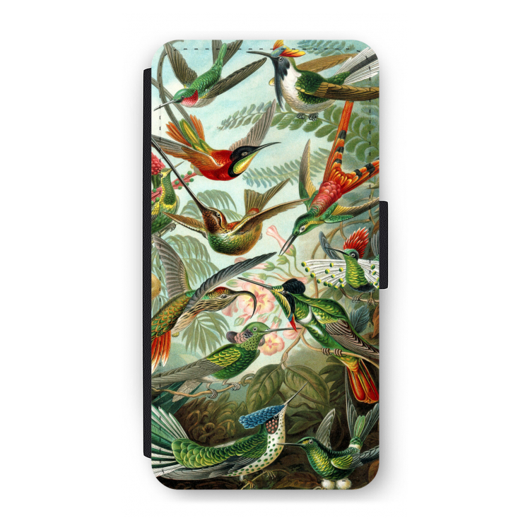 Haeckel Trochilidae