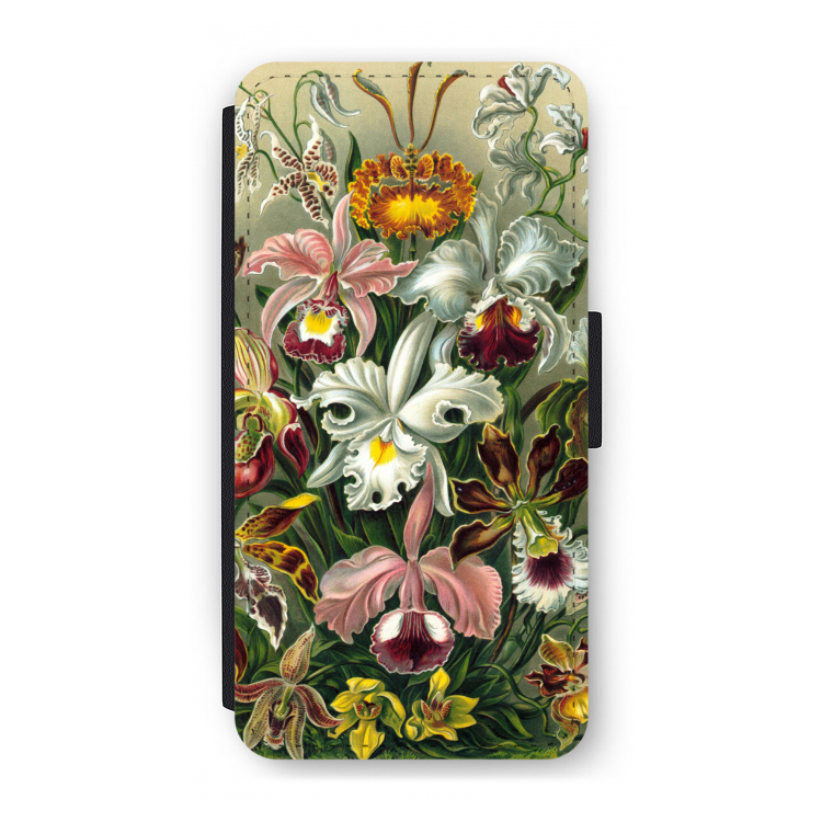 Haeckel Orchidae
