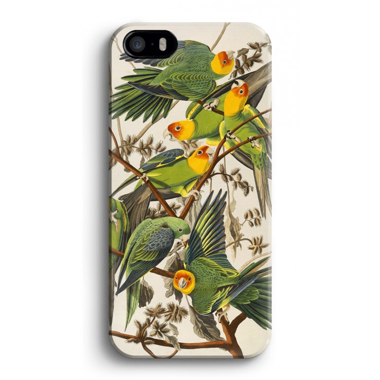 Carolina Parrot