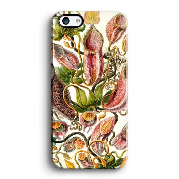 Haeckel Nepenthaceae