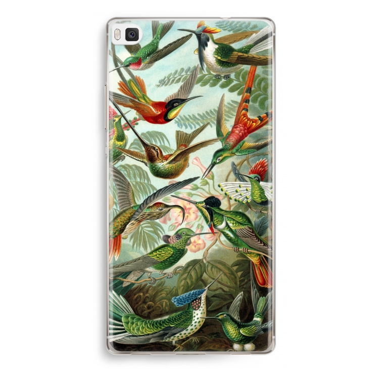 Haeckel Trochilidae