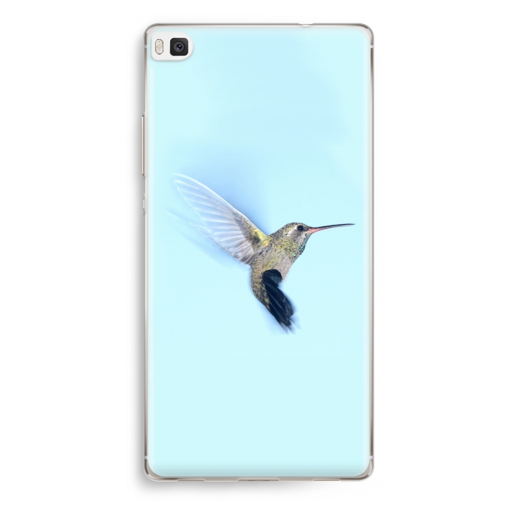 Colibrì