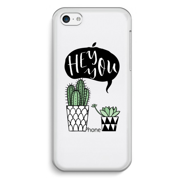 Hey you cactus